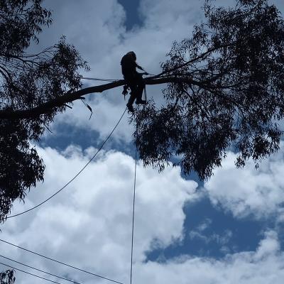 37c13fdd 7786 4d86 95bd 2c28e2b28771