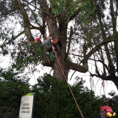 B8e4003d B3f5 4e0e Aa18 21b77ef3a927